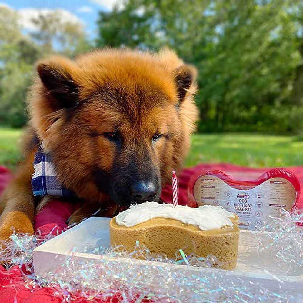 Dog Birthday Cake Kit W186