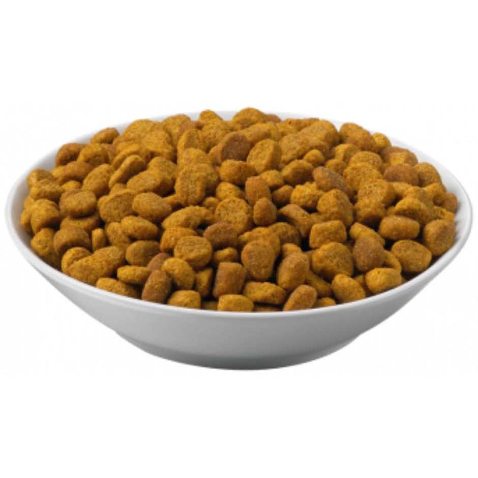 Overweight Management Dry Cat Food Y86897