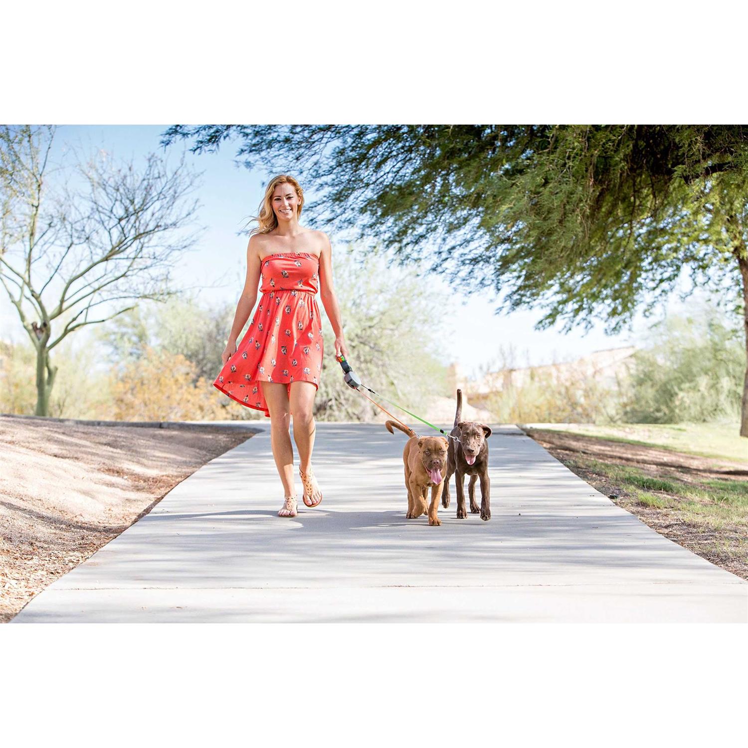 Dual Doggie Retractable Leash C593