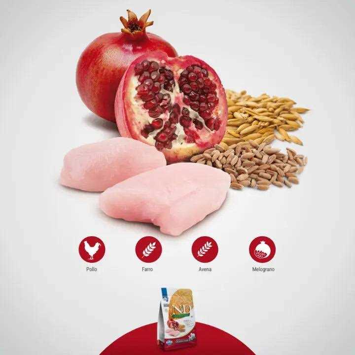 Chicken & Pomegranate Grain Adult Dry Dog Food, 26.5 lb K1175