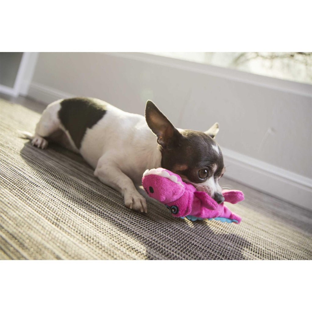 Chew Guard Dog Toy K158