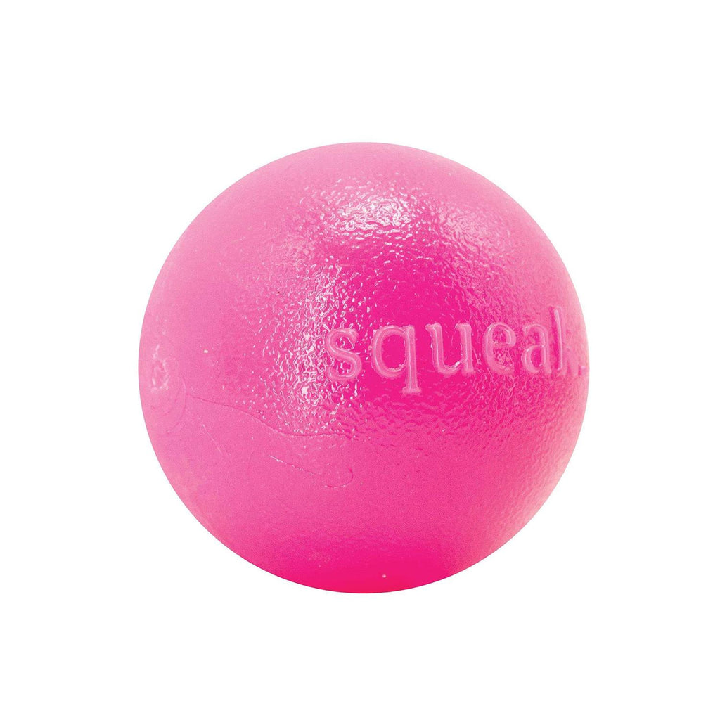 Planet Dog Orbee-Tuff Squeak Toy Ball - Pet Supplies online store