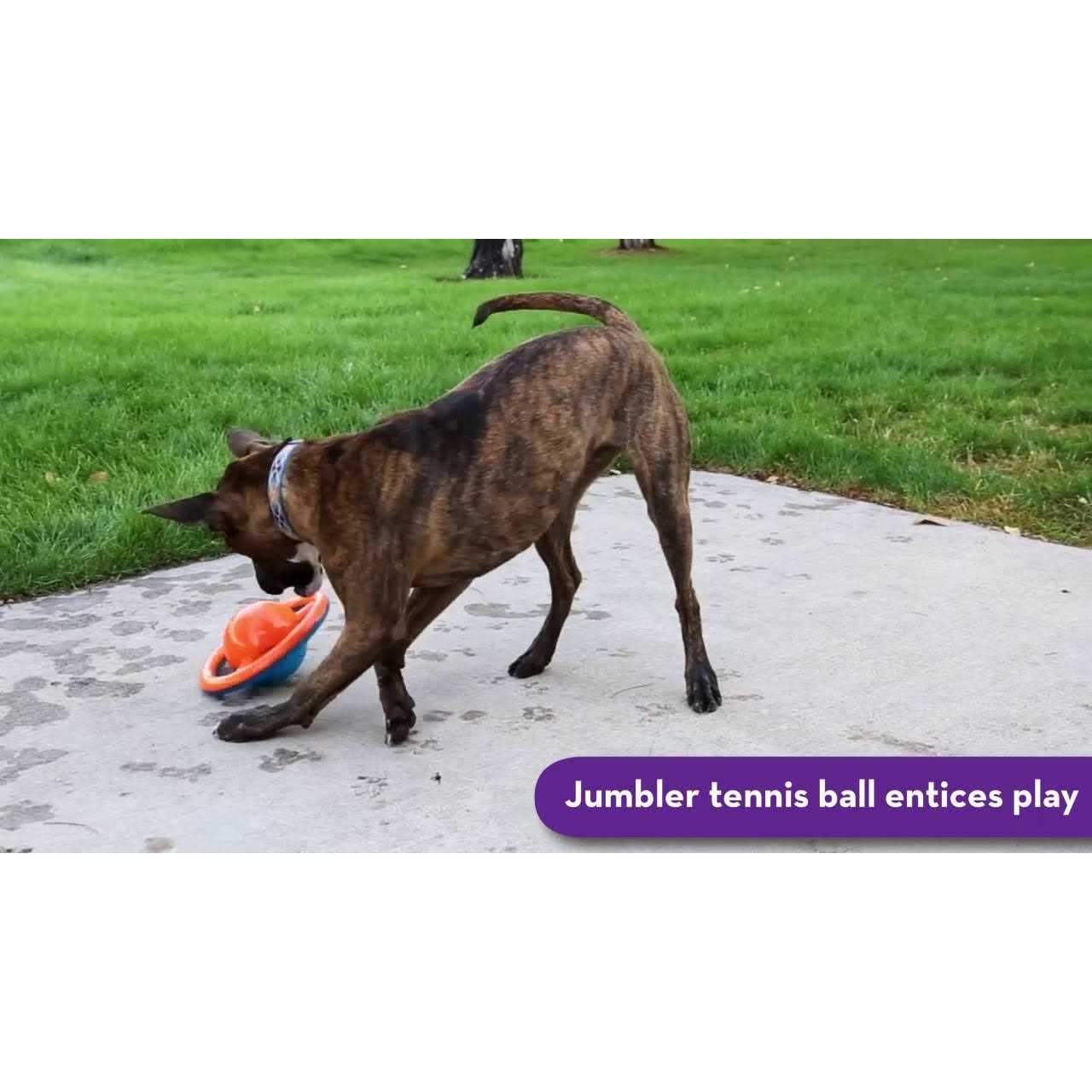 Dog Toy Disc W96954