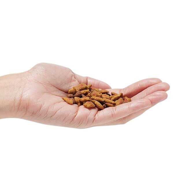 Hairball Control Dry Cat Food G179245