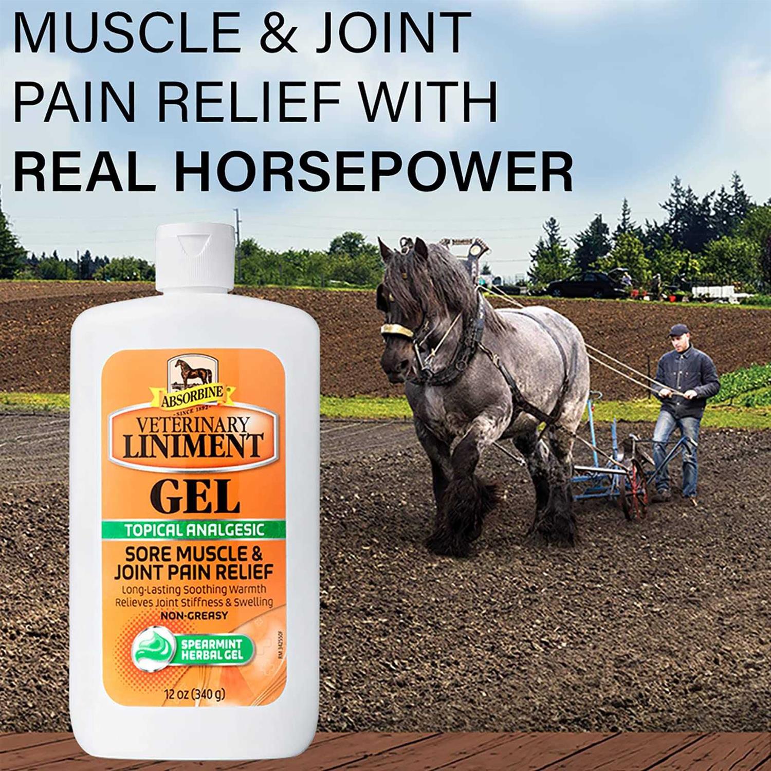 Veterinary Liniment Gel for Pets X352665