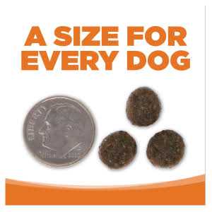 Grain Free Venison Red Lentils Dog Food I1345