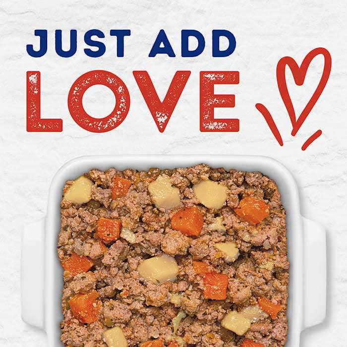 Tender Beef & Potato Recipe Wet Dog Food K745