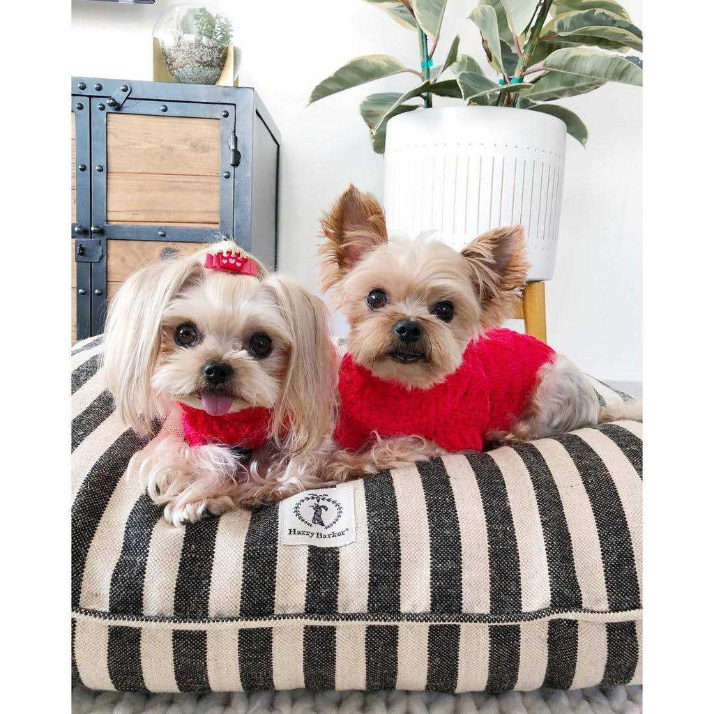 Vintage Stripe Envelope Dog Bed E265
