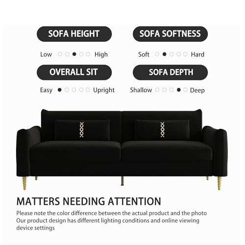 3-Seat Velvet Couch with Solid Wood Frame and Pillows Z663