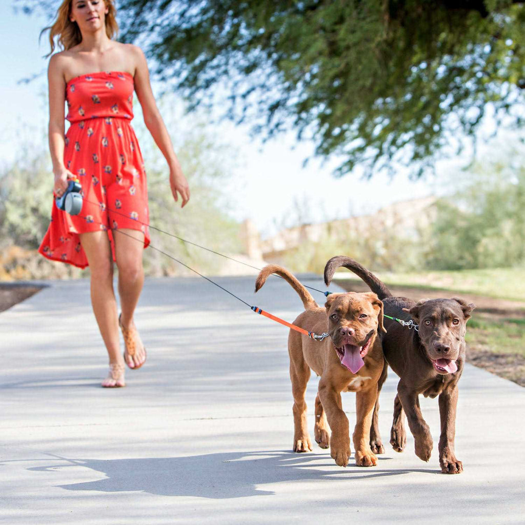 Dual Doggie Retractable Leash C593