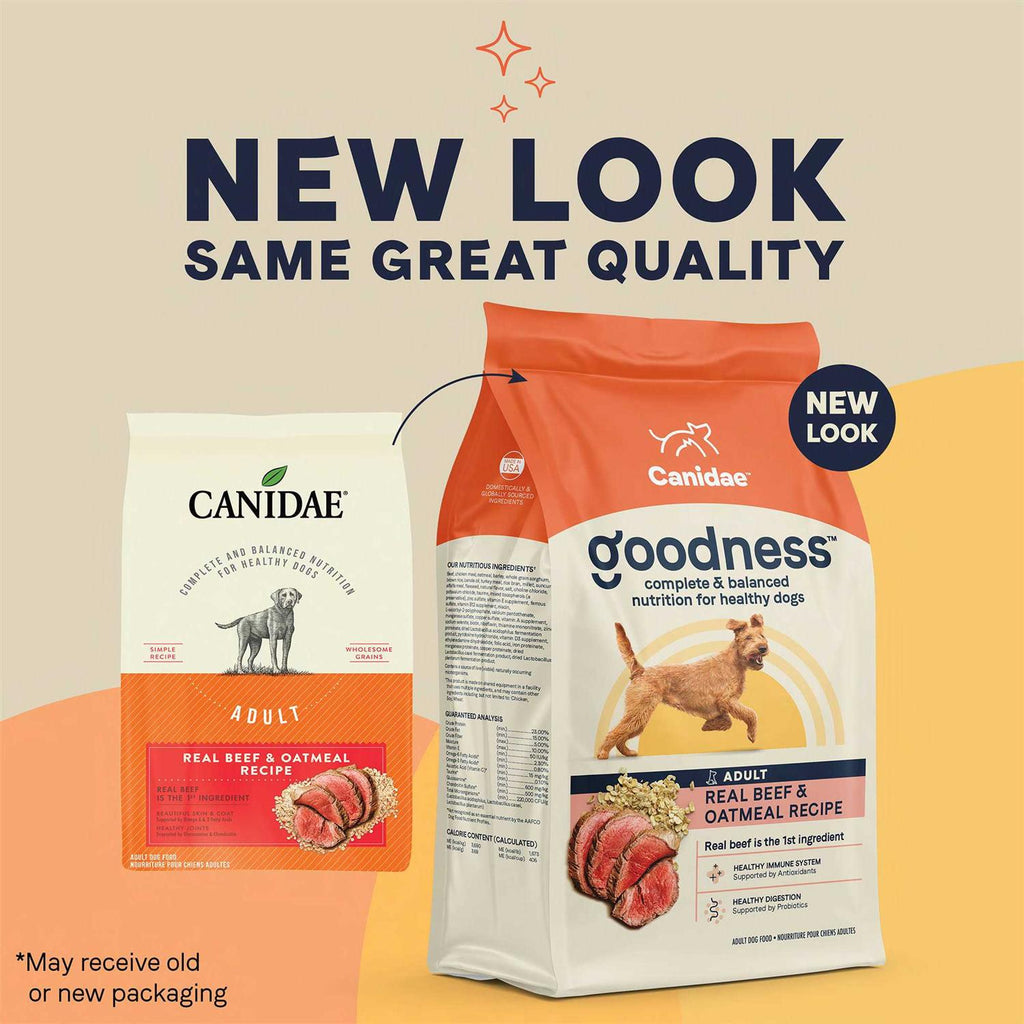Adult Dry Dog Food Beef and Oatmeal H72044