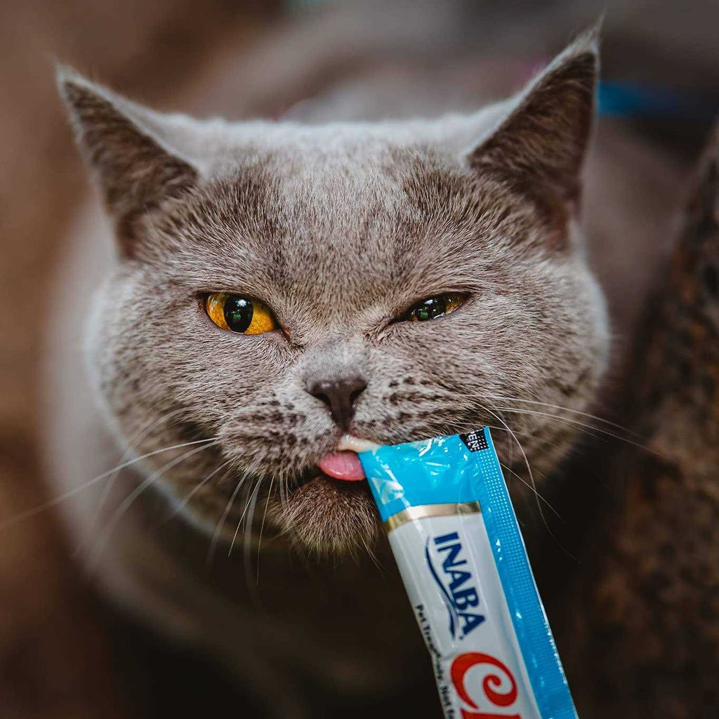 Lickable Tuna and Chicken Cat Treats F438164