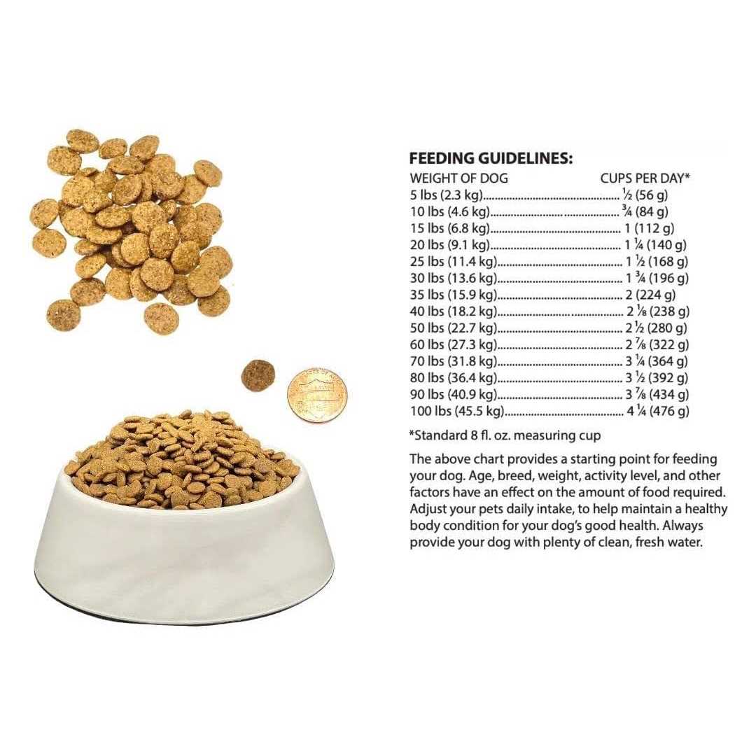 Holistic Natural Adult Dry Dog Food, Chicken Meal and Brown Rice Recipe 6.6 lb Bag I428