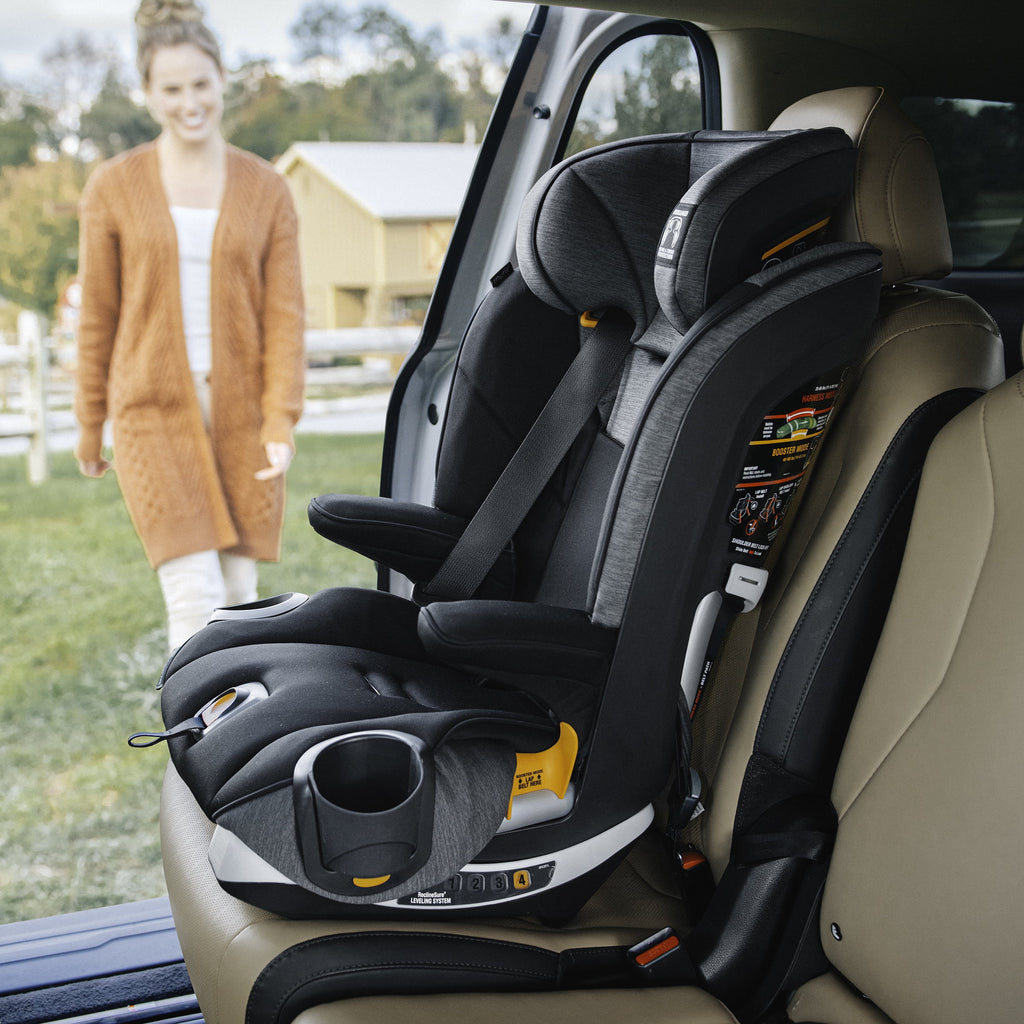 Harness + Booster Car Seat - Shadow (Black) O257853