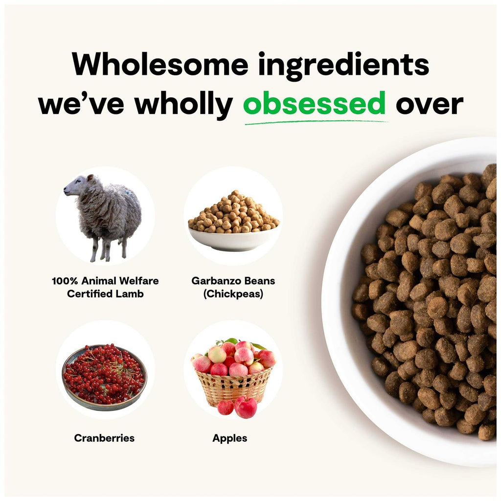 Grain-Free Pasture Raised Lamb Dry Dog Food U846228