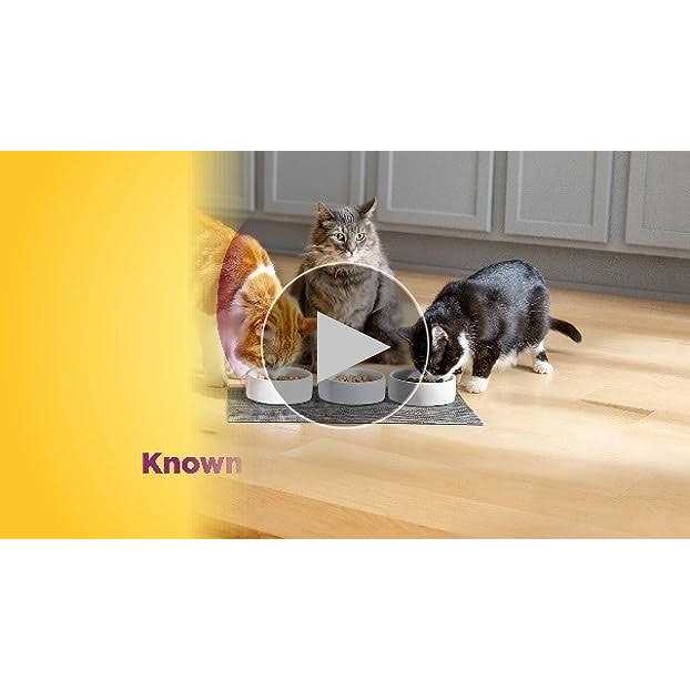 Hairball Control Dry Cat Food S660