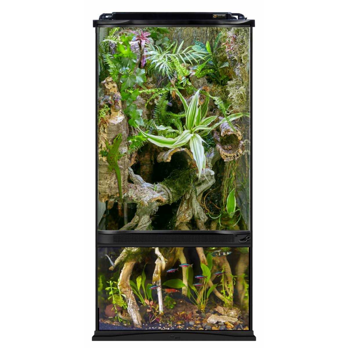 Paludarium Terrarium and Aquarium F4794