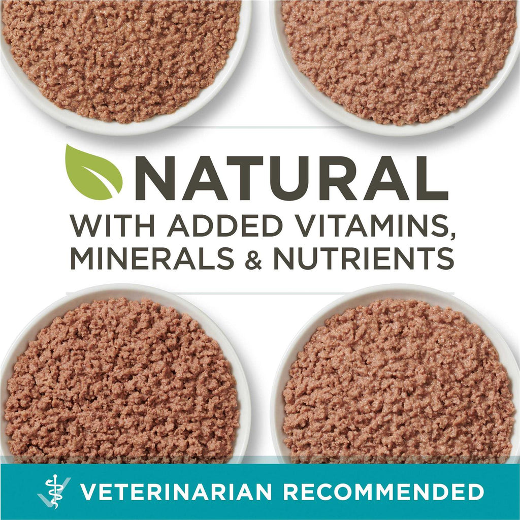 High Protein Grain Free Pate Wet Cat Food Variety Pack B5460