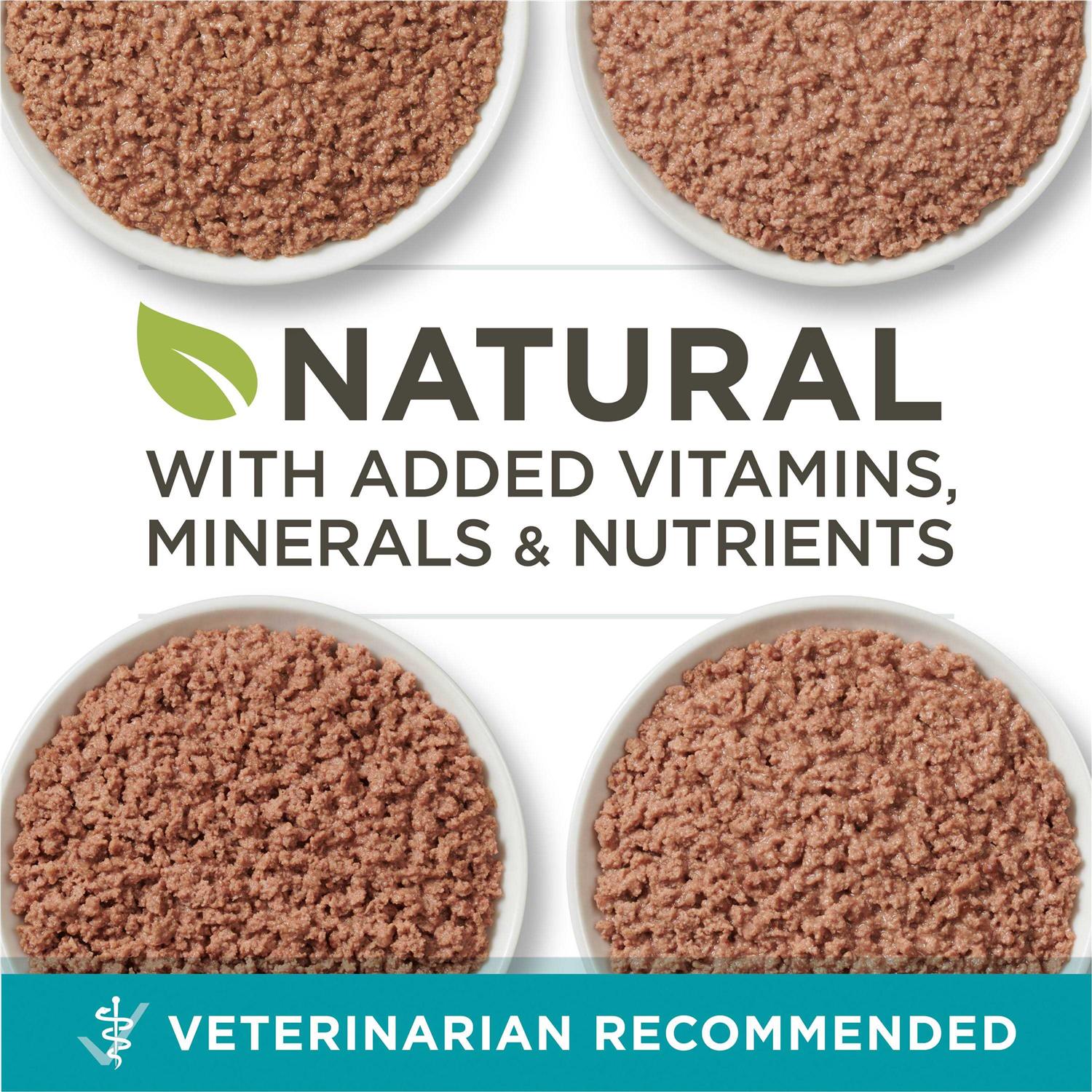 High Protein Grain Free Pate Wet Cat Food Variety Pack B5460