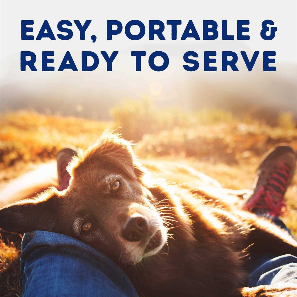 Tender Beef & Potato Recipe Wet Dog Food K745