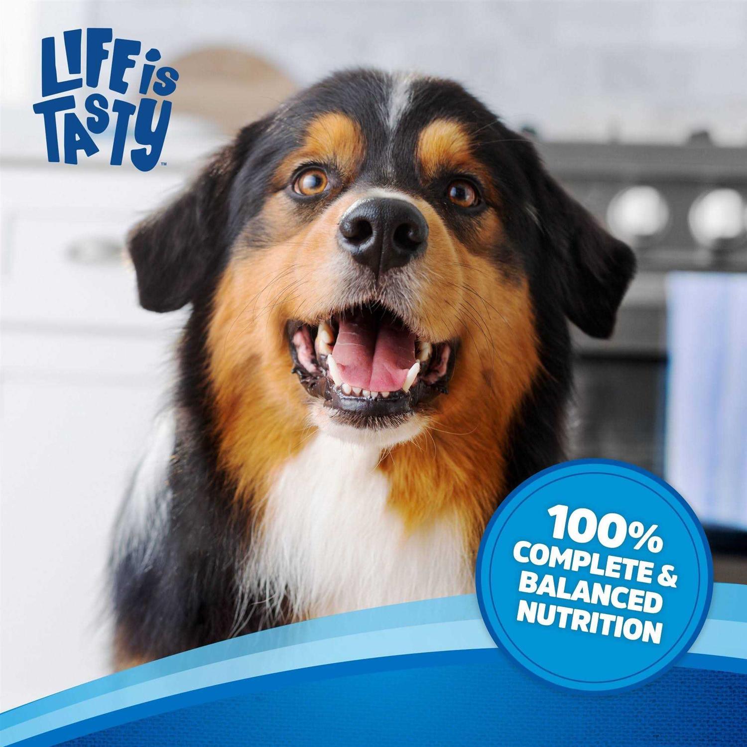 Beef Dog Food O572035