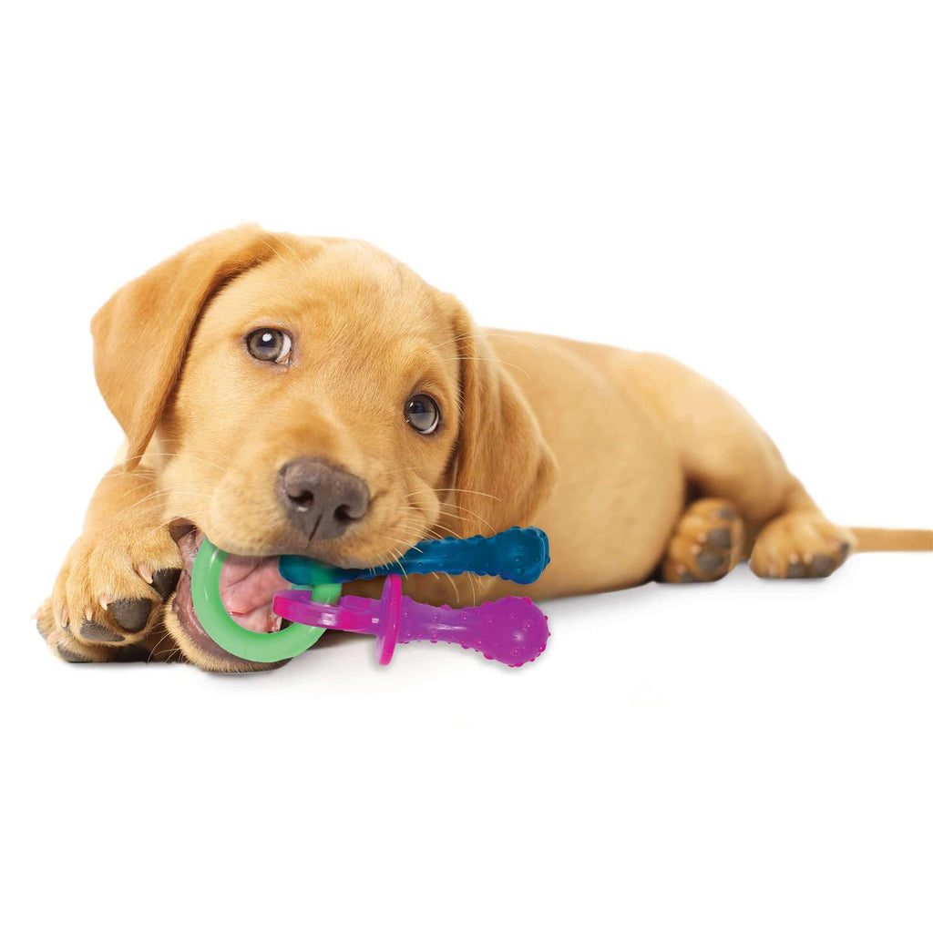 Puppy Chew Teething Pacifier D789276