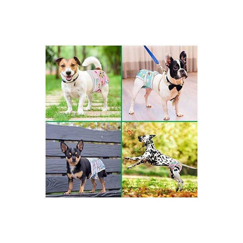 Reusable Female Dog Diapers for Heat, Soft Washable J75150