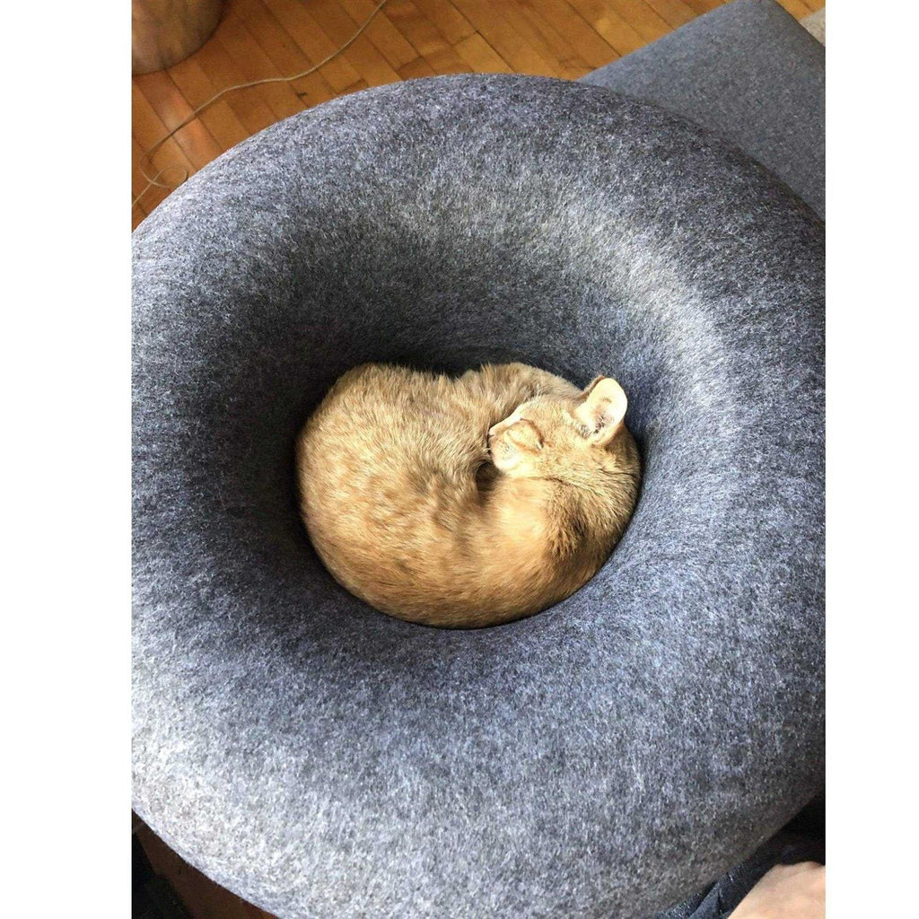 Cat Hideaway Cave V925561