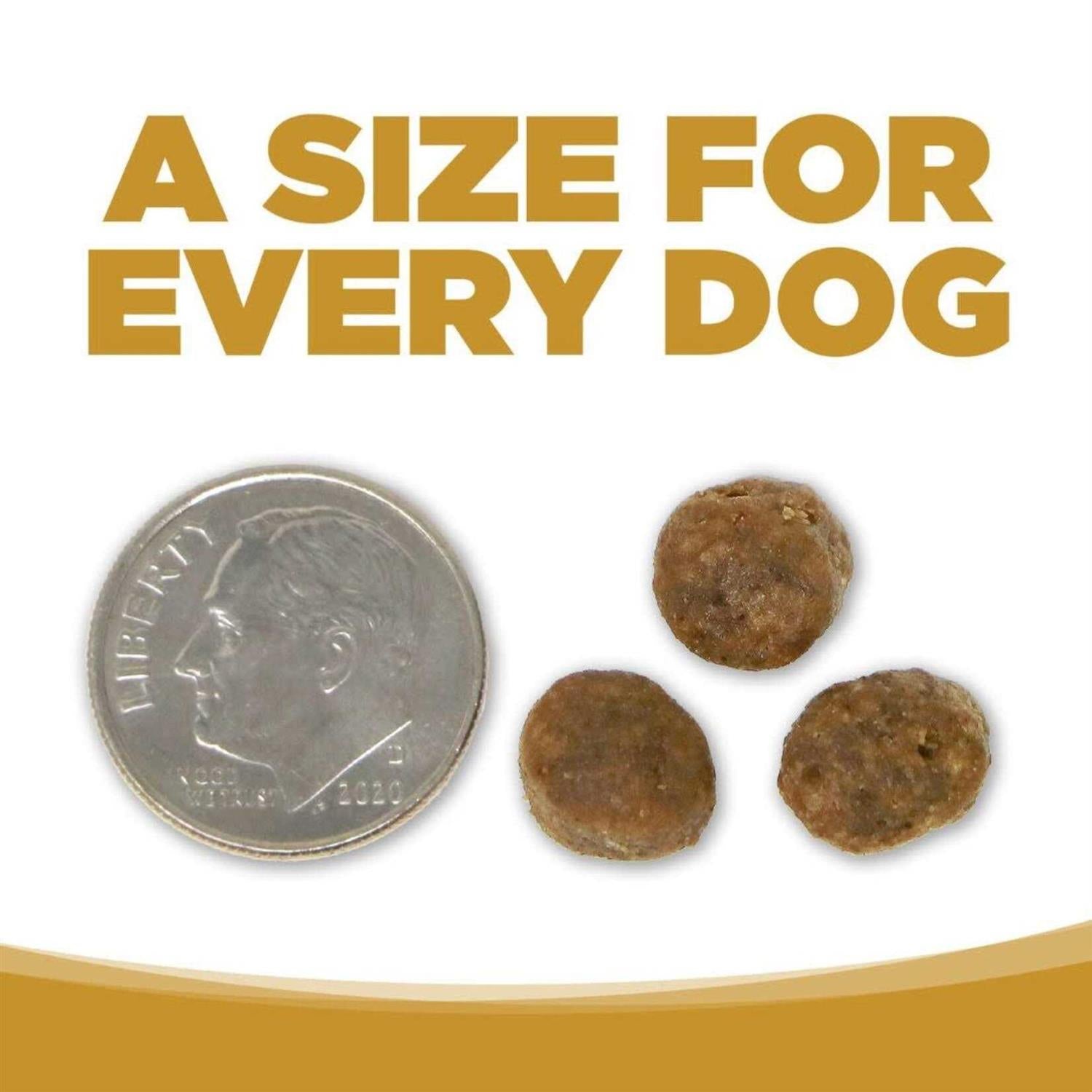 Grain Free Small Bites Dog Food K916084