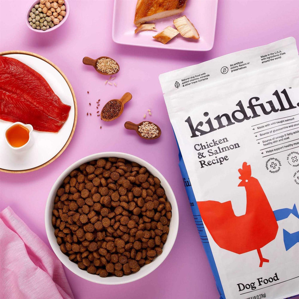 Chicken and Salmon Recipe Dry Dog Food I53526
