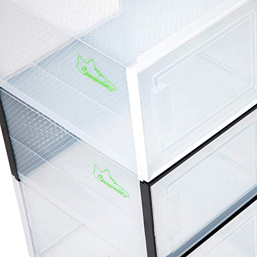 Shoe Storage Boxes 6 Pack, Clear Plastic Stackable, Large Y3472