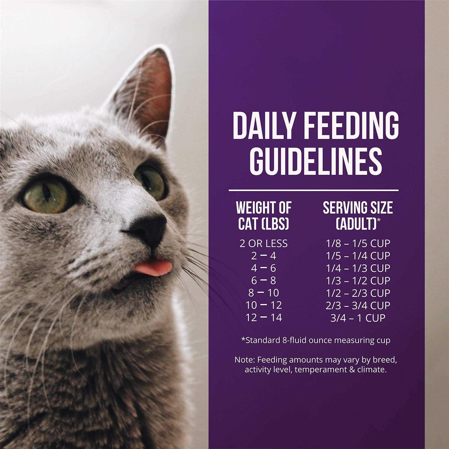 Quail & Duck Meal Dry Cat Food W577