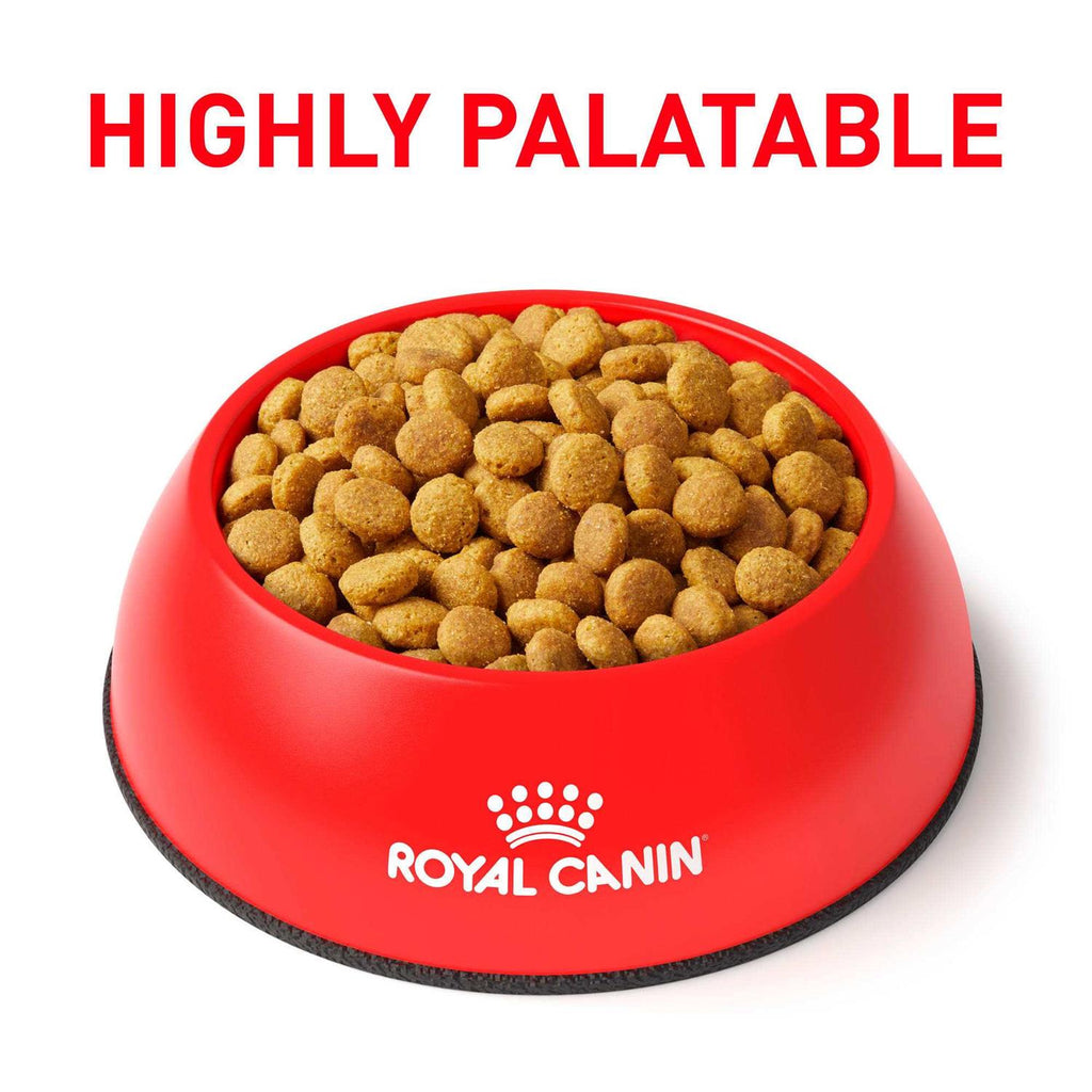 Gastrointestinal Moderate Calorie Dry Cat Food O2307