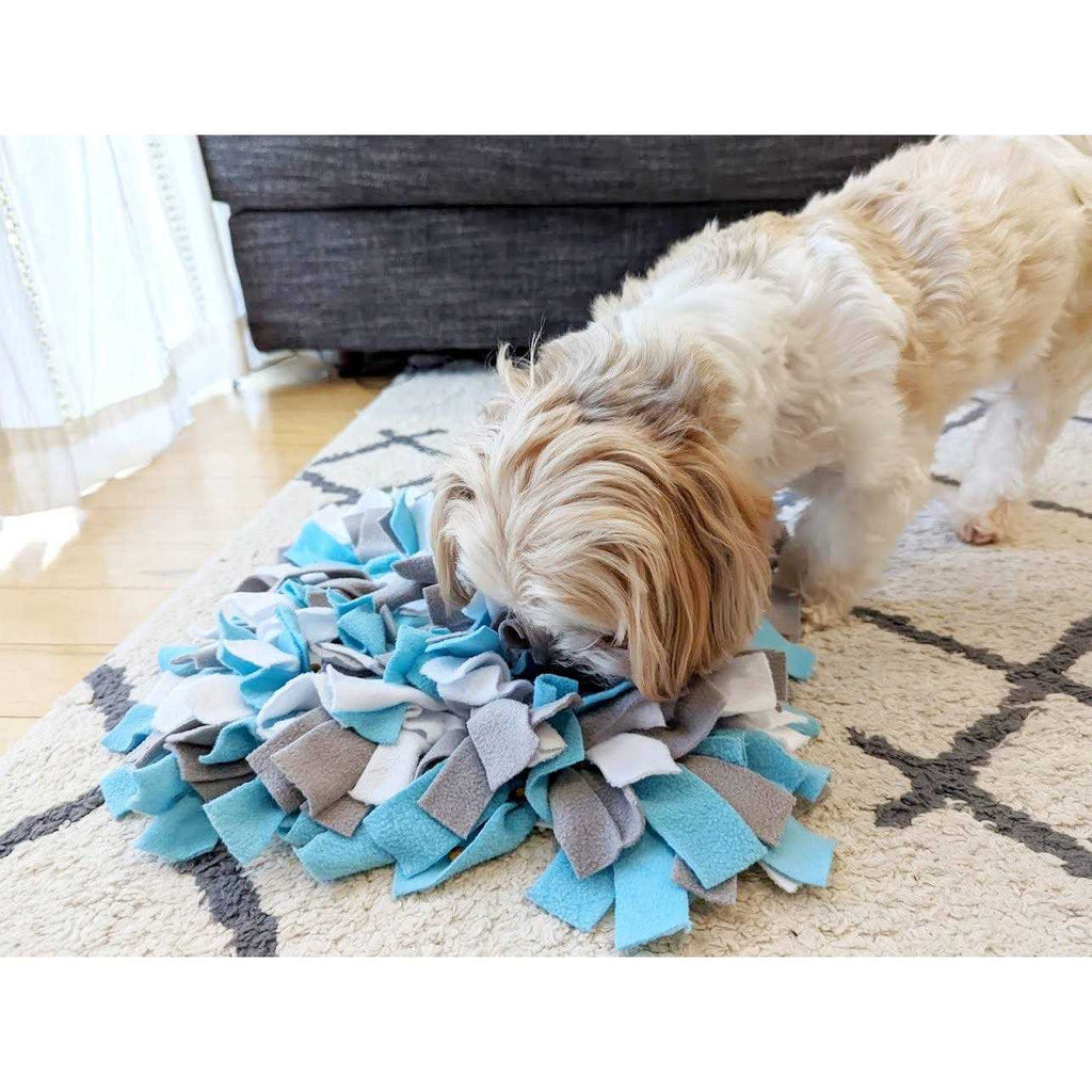 Snuffle Mat Dog Toy Q26072