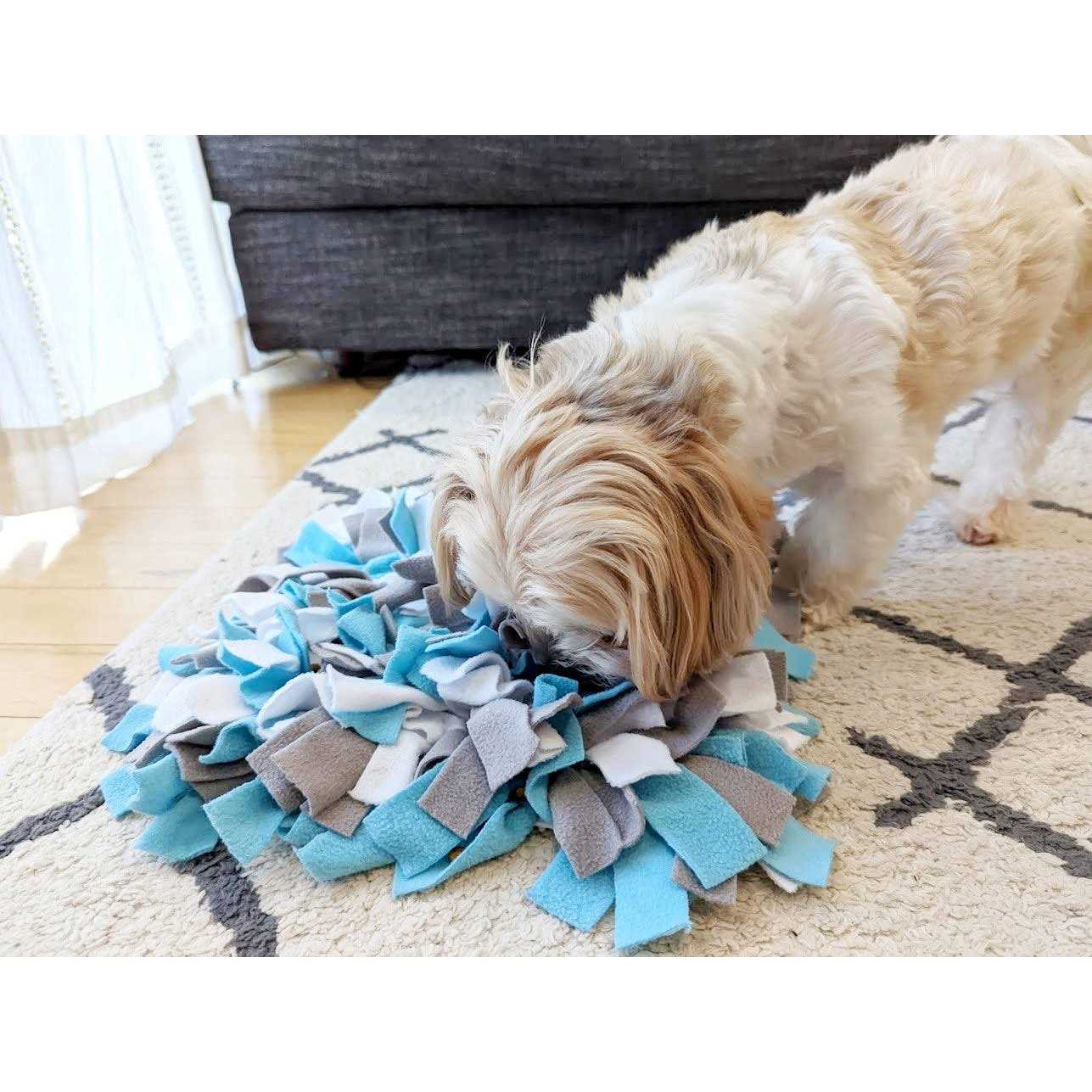 Snuffle Mat Dog Toy Q26072