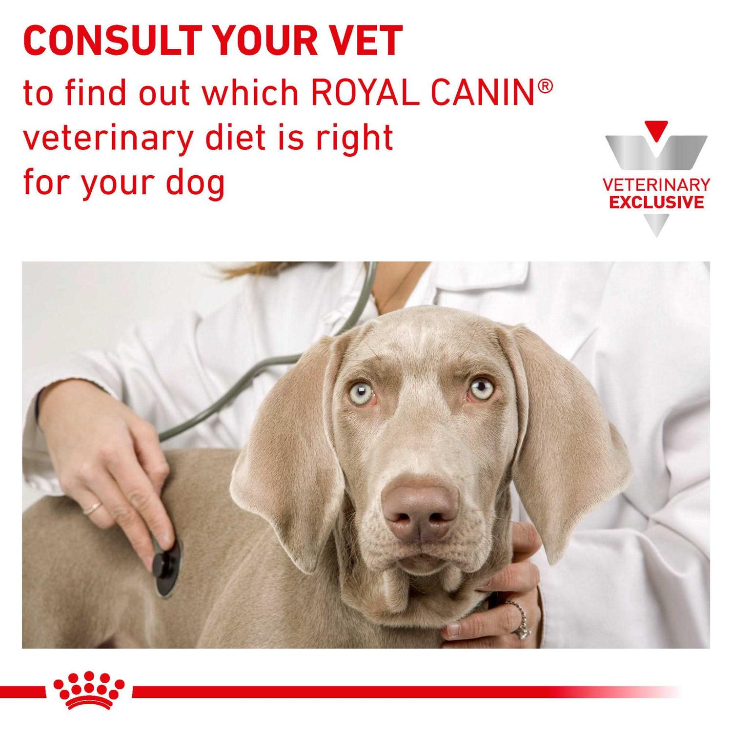 Veterinary Diet Canine Urinary SO Dry Dog Food W91992