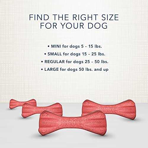 Dental Bones Dog Treats R38505
