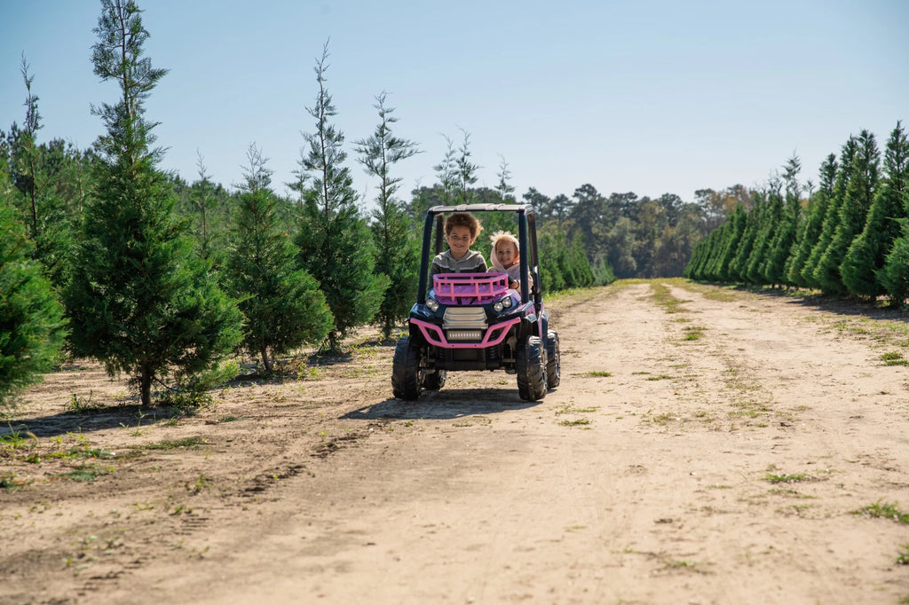 24-Volt Kids Ride-on for Girls Age 3-5 Q3285