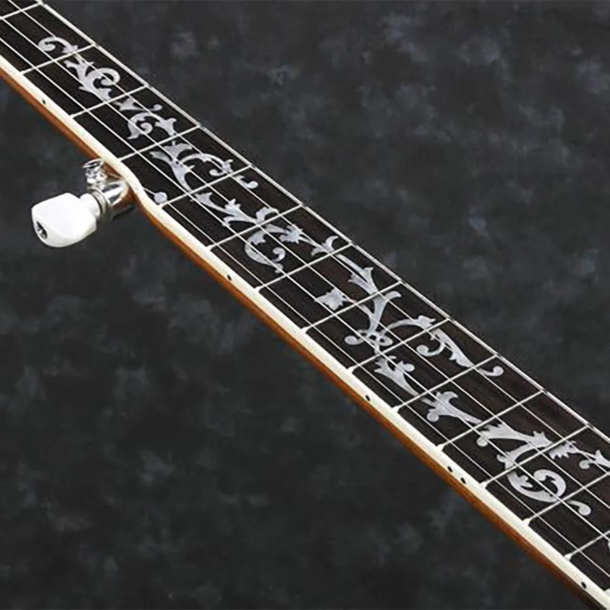 5-String Banjo J3964