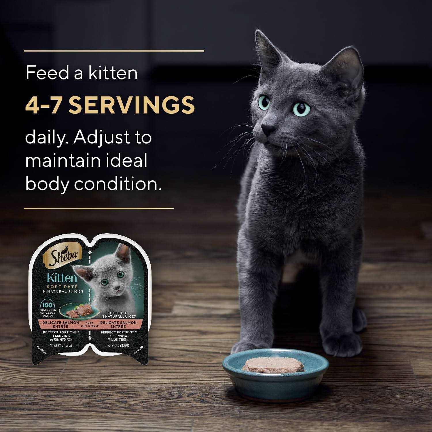 Wet Kitten Food Pate Q7330