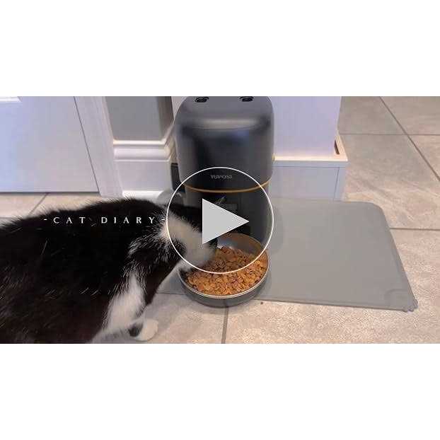 Automatic Cat Feeder 8 Cup Cat Food Dispenser E808174