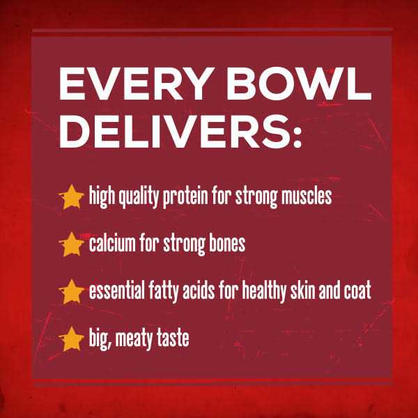 Savory Beef Dry Dog Food K387