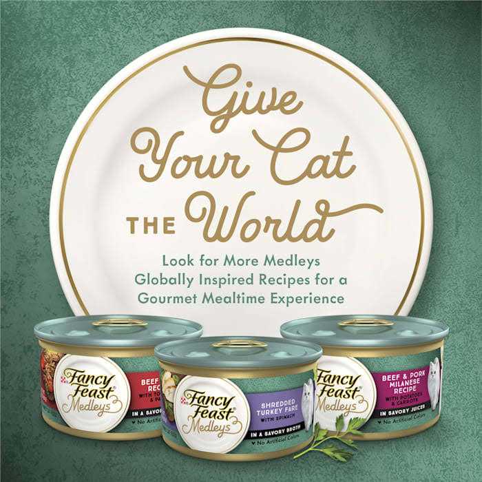 High Protein Medleys Wild Alaskan Salmon Recipe with Garden Veggies in Sauce Wet Cat Food Y82896