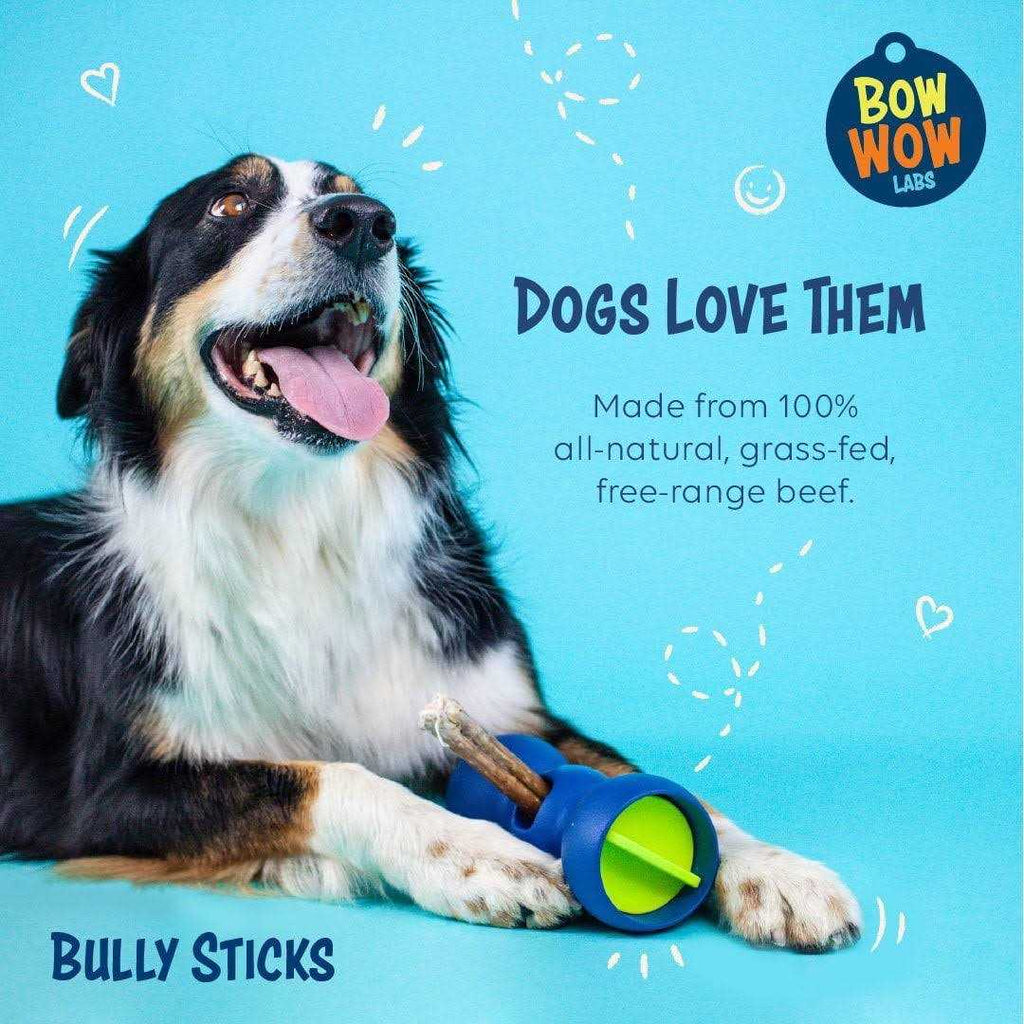 Safe Fit Bully Sticks for Dogs M61419