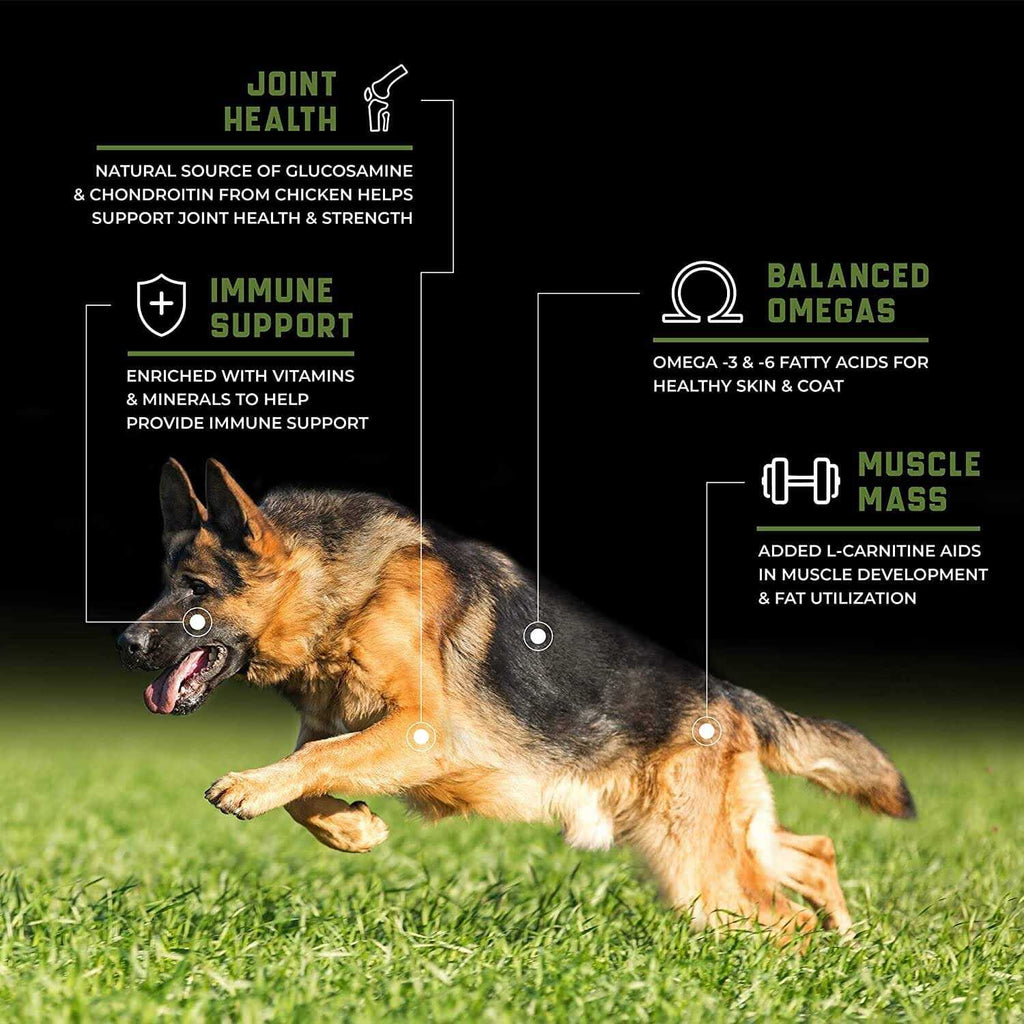 Grain-Free Performance Chicken Dry Dog Food E47887