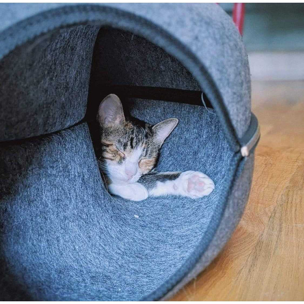 Cat Hideaway Cave V925561