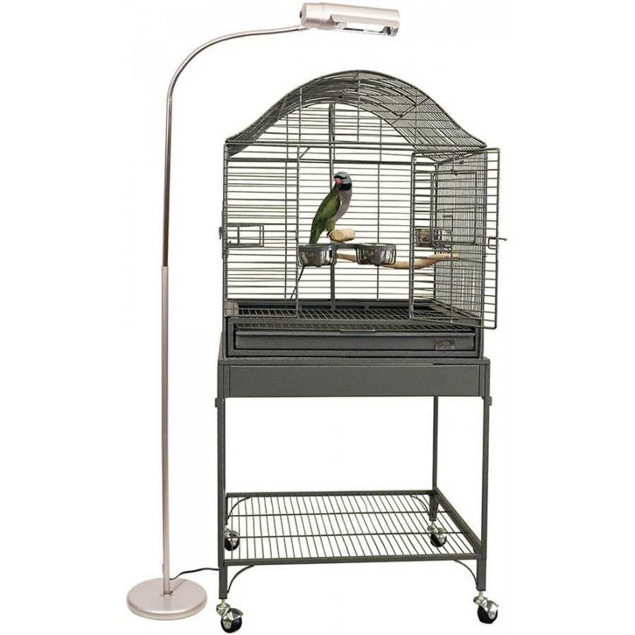 Avian Sun Deluxe Floor Lamp V8486