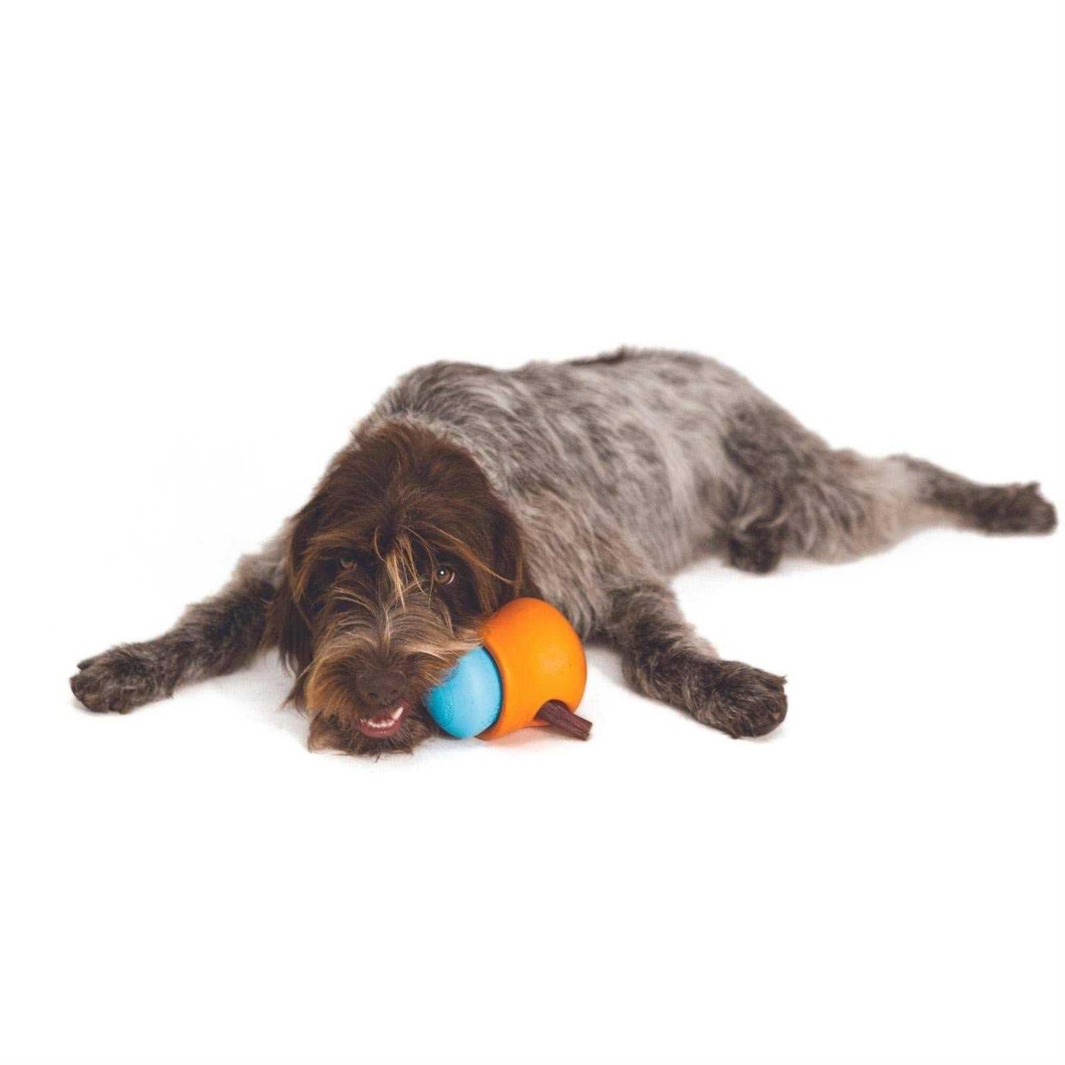 Dog Toy B16158