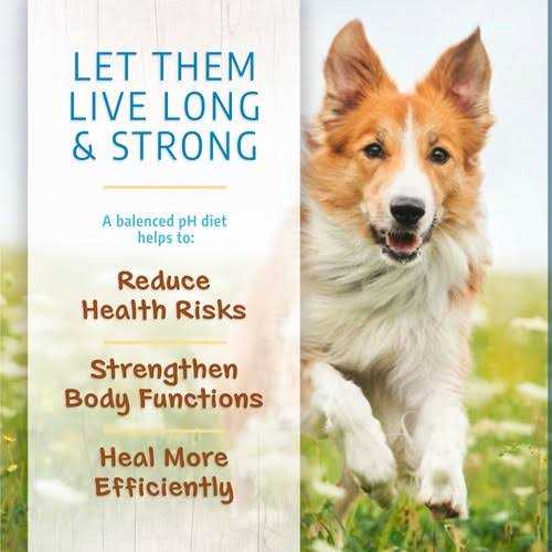 Limited Ingredient Dry Dog Food for All Life Stages K514571