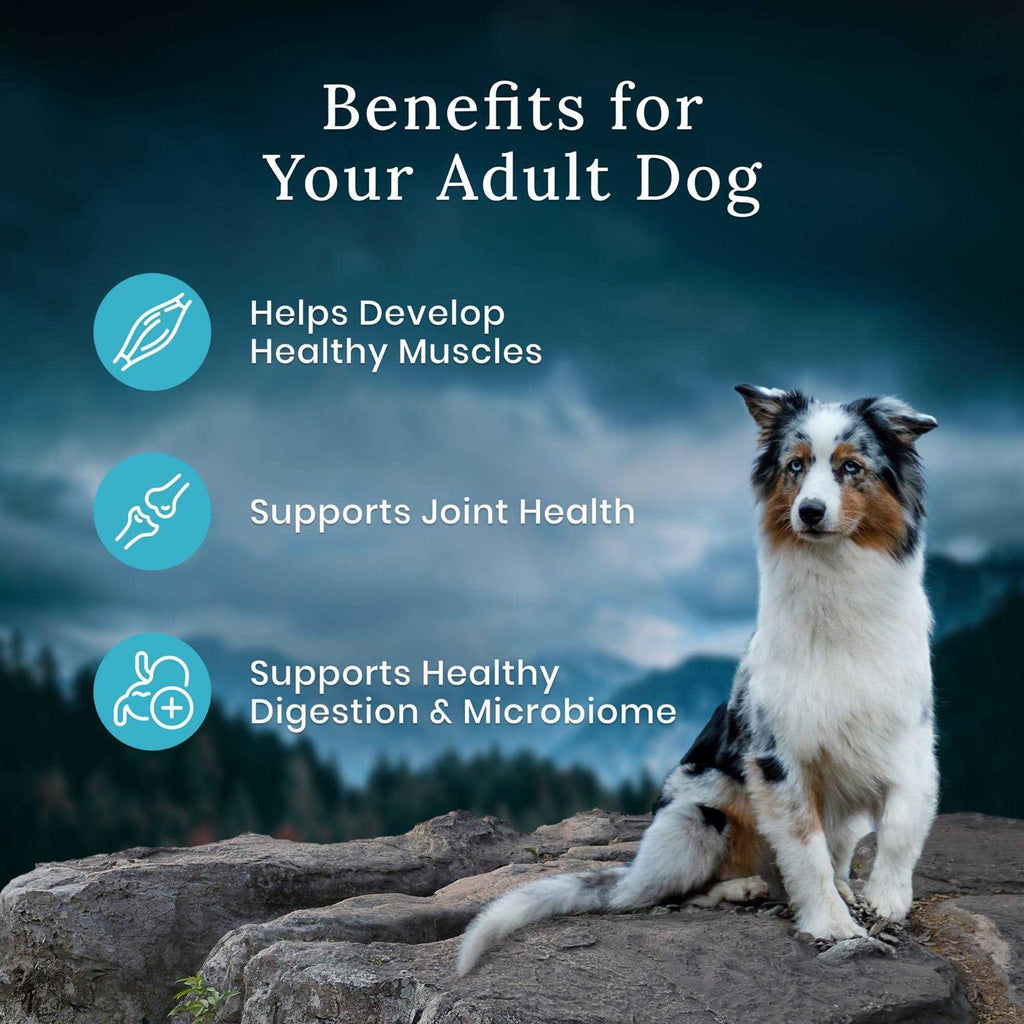 Adult Dog Food Chicken Dry Blend E1476